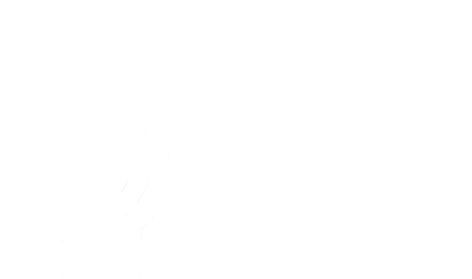 Magnet Media House Logo